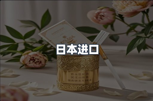 日本进口